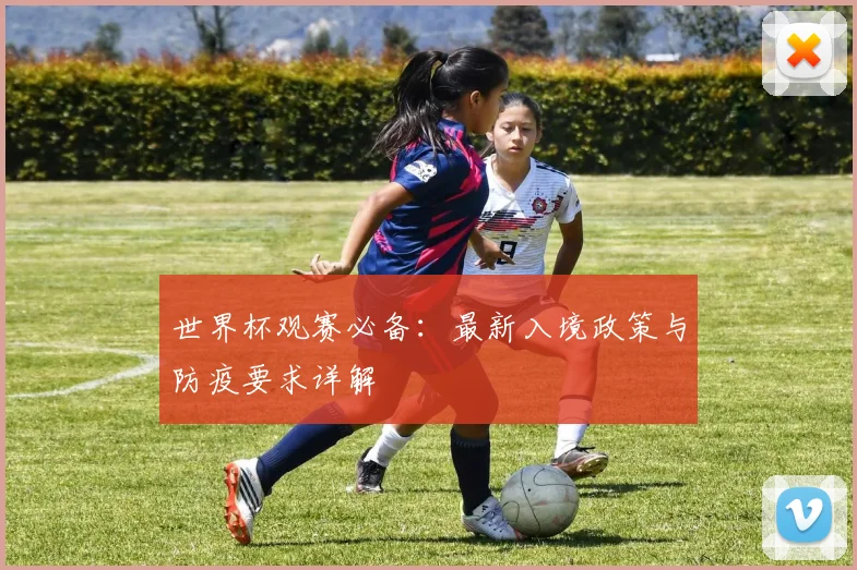 世界杯观赛必备：最新入境政策与防疫要求详解
